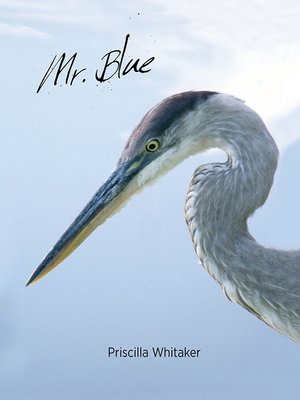 cover image of Mr. Blue